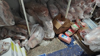 Mendoza: secuestran más de dos toneladas de carne en mal estado en un operativo por faena ilegal de guanacos