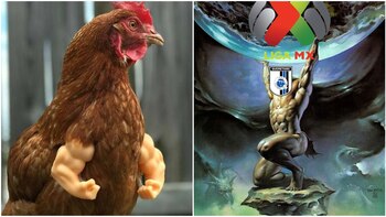 Los memes que dejó la