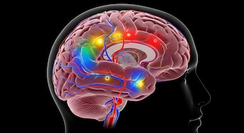 El estudio internacional liderado por