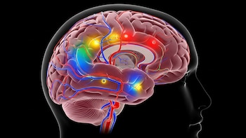 Cómo funciona la red invisible