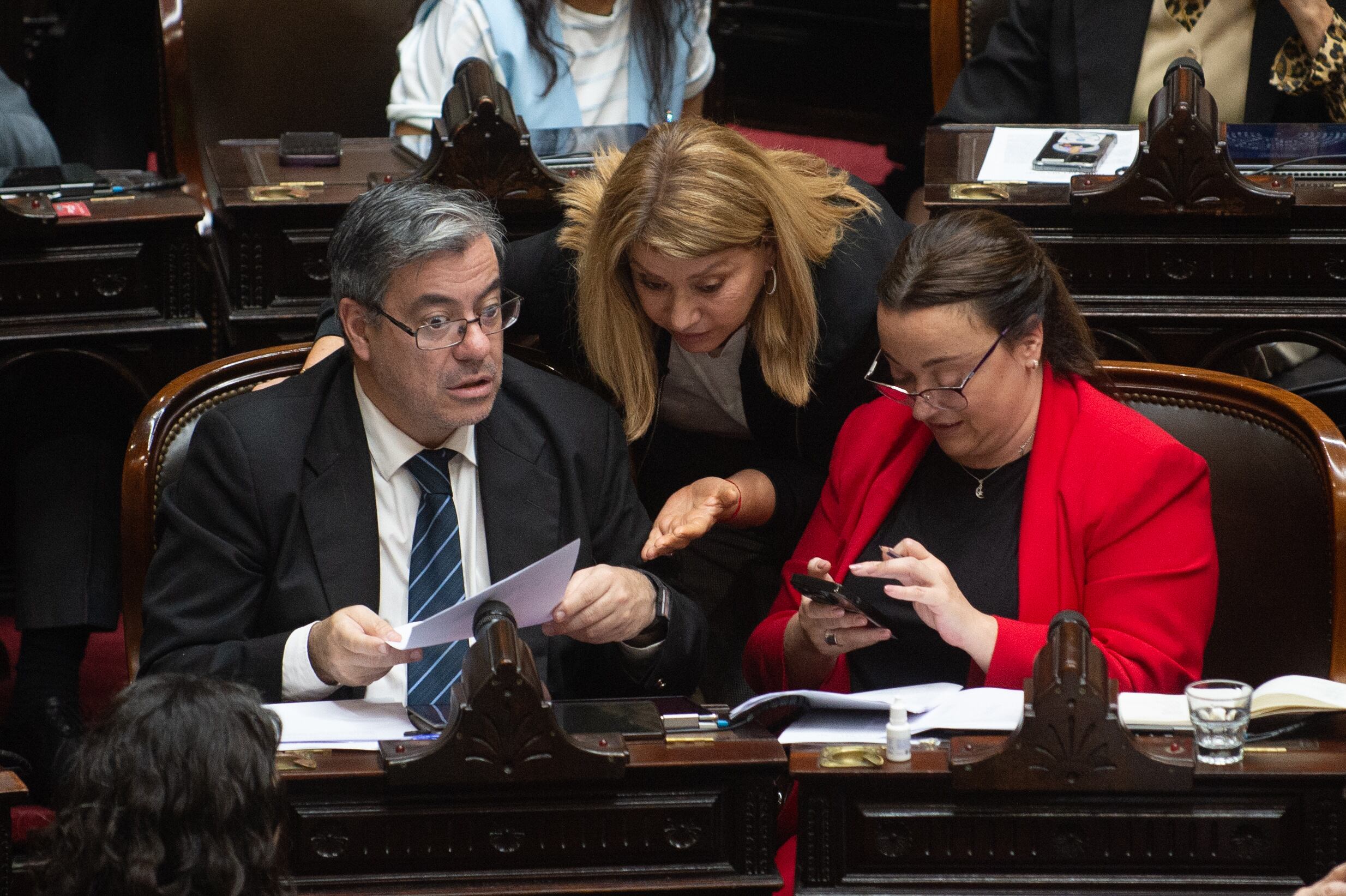 La oposición buscará imponer condiciones en cuanto a las reforma de los DNU (Jaime Olivos)