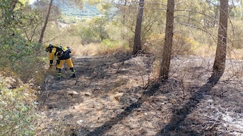 Medios aéreos y terrestres combaten un incendio forestal en Llucmajor