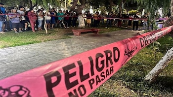 Padre e hijos fueron a