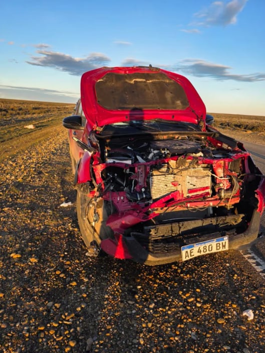 La camioneta del ex mandatario registró destrucción en la parte frontal tras embestir al animal en la calzada (Diario Nuevo Día)