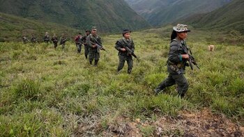 Fundagán solicitó a la JEP que reconozca a 100 ganaderos como víctimas del conflicto armado