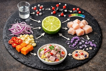 Medio limón, trozos de pescado crudo, cebolla morada, maíz, ají, camote, vaso de precipitados, modelos moleculares, escala de pH, y un plato de ceviche en una superficie oscura.