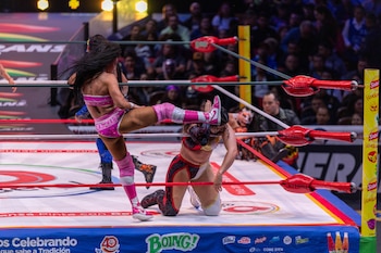 (CMLL / DIego Cedrix)
