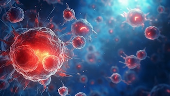 Qué es el “tercer estado”: