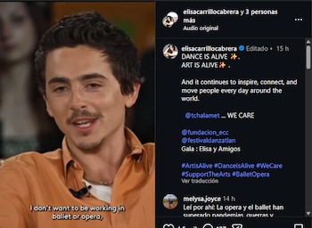 Los comentarios de Timothée Chalamet
