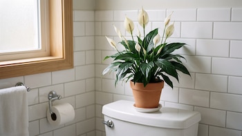 Por qué los expertos recomiendan poner una cuna de Moisés en el baño y no en la sala