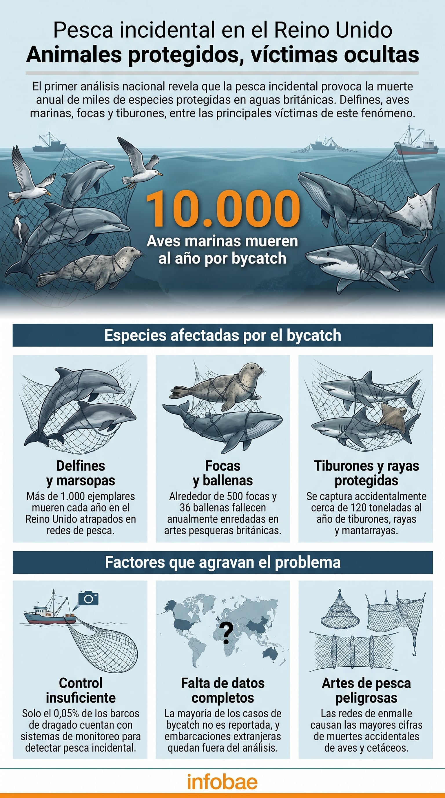 Un análisis revela que la pesca incidental en el Reino Unido causa la muerte de miles de especies marinas protegidas anualmente, incluyendo delfines, aves marinas, focas y tiburones. (Imagen Ilustrativa Infobae)