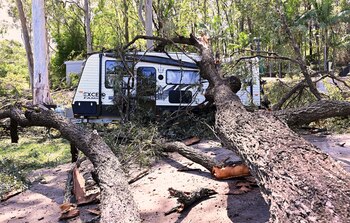 Un árbol caído sobre una casa rodante, cerca de Gold Coast, Australia. (Dave Hunt/AAP Image via AP)