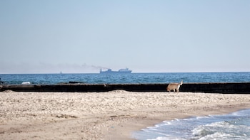 Ucrania denuncia un muerto en