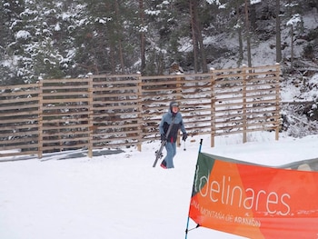 El Rey felipe VI este