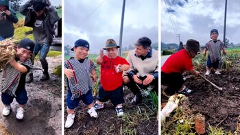 Youtubers intentaron sembrar cebolla y