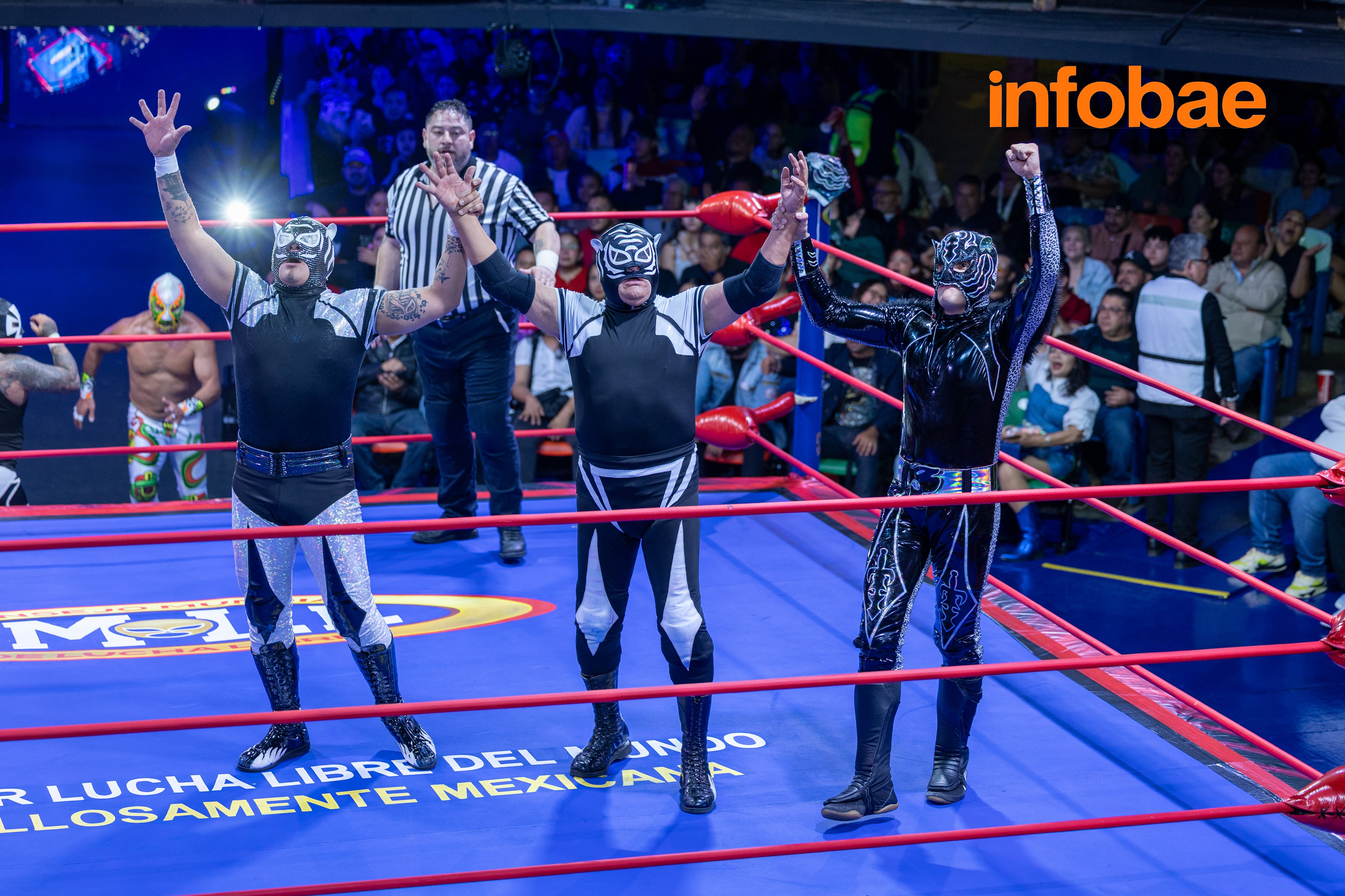 (CMLL / Diego Cedrix)