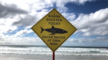 La desaparición de Erica Fox