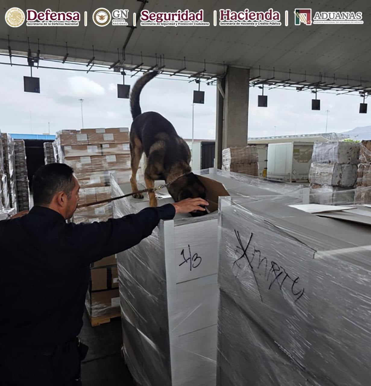 Decomiso en la Aduana de Tijuana. Crédito: Gabinete de Seguridad