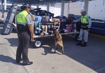 Imagen FA5WGKELTBGR3OS57I567BPW5A