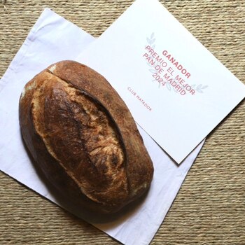 Ganador del premio al mejor