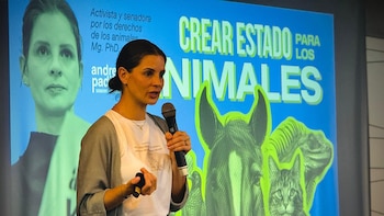 Protección animal en Colombia: cinco proyectos llegan al Congreso, con fondo nacional y penas más duras por maltrato y robo de mascotas