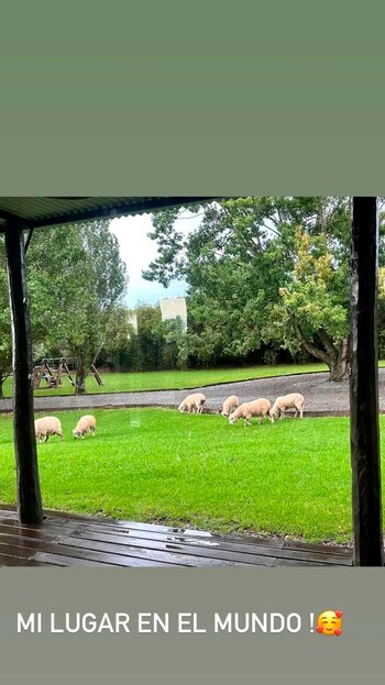 Nicole Neumann expresó su felicidad