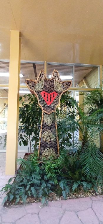 La Sedema busca que se