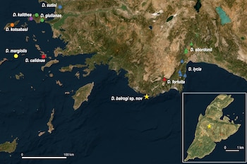 Distribución geográfica de las especies de Dolichopoda del Mediterráneo oriental. (Environmental Systems Research Institute)