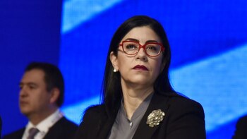 La legisladora aseguró que se