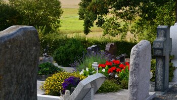 12 mil niños colombianos han