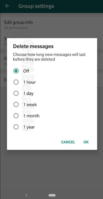 El usuario puede elegir el