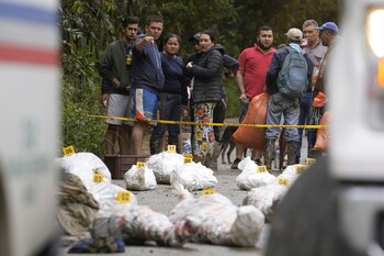 Imagen de algunos de los