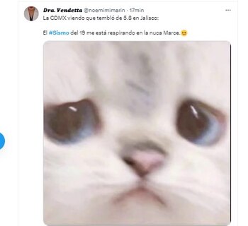 memes sismo jalisco (Twitter)