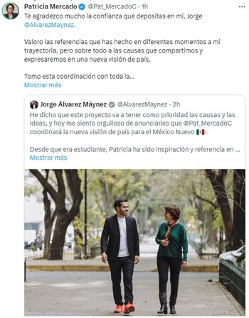 Patricia Mercado será quien coordine