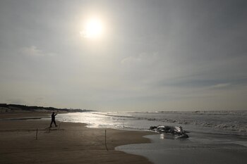 Ya hubo estudios que comprobaron