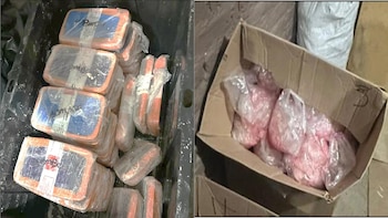 Sedena localizó más de 300