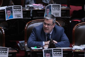 El jefe de la bancada