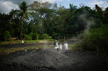 Nilson Martínez prepara carbón vegetal