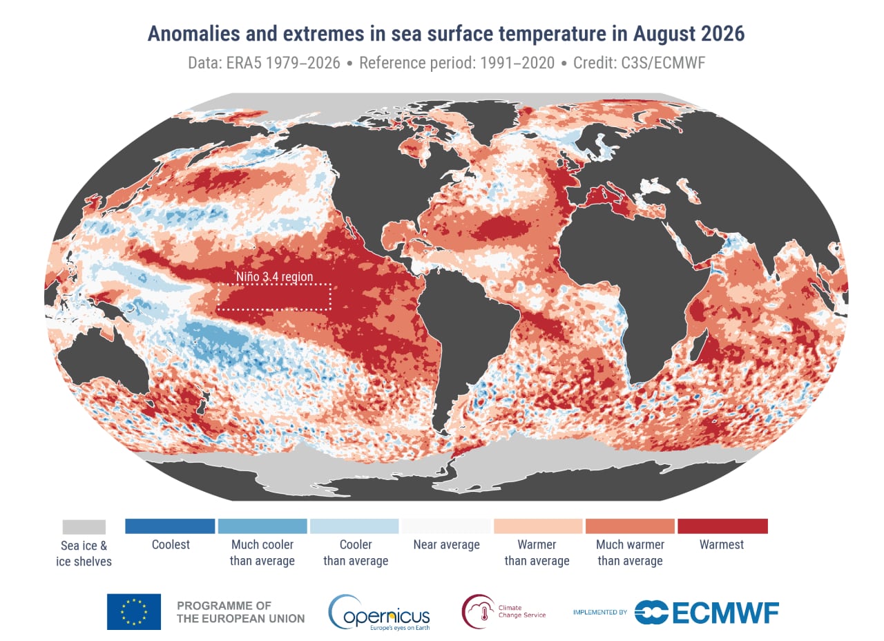 La temperatura de la superficie del mar intensificará las condiciones de El Niño. (C3S/CEPMPM)