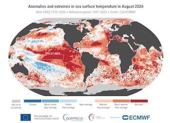 La temperatura de la superficie del mar intensificará las condiciones de El Niño. (C3S/CEPMPM)