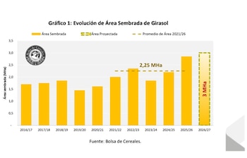 Evolución del área sembrada con girasol en la Argentina