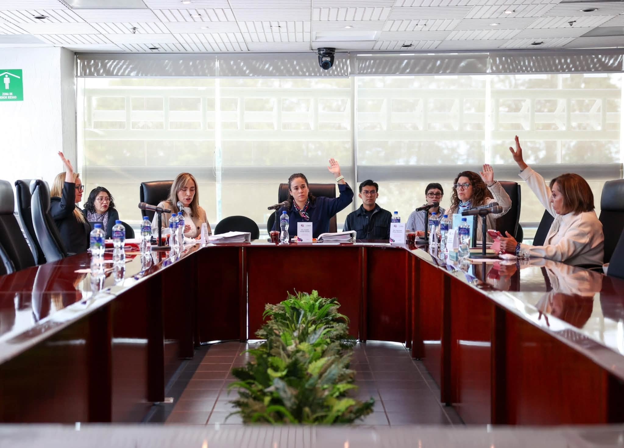 IEEM Amalia Pulido inicio del proceso electoral 2026-2027 Edomex