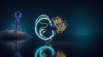 Un bacteriófago azul sobre una superficie rugosa junto a dos estructuras moleculares de cintas celestes y doradas sobre fondo oscuro.