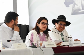 Violeta Vázquez Rojas en la reunión de este 3 de julio. Crédito: Presidencia