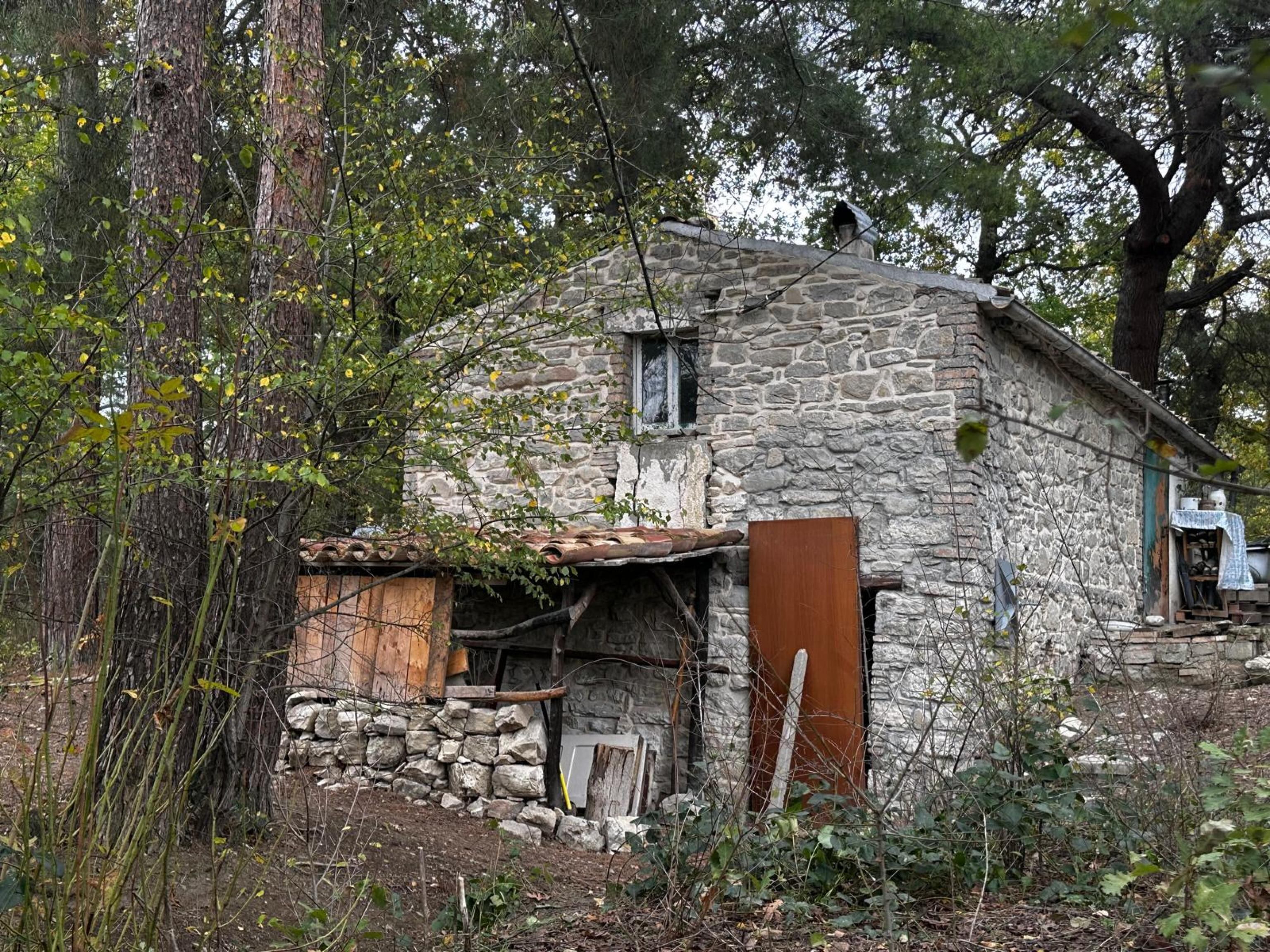La casa de Nathan Trevallion y Catherine Birmingham, una pareja anglo-australiana que vive con sus tres hijos en el bosque de Palmoli, Italia. (Antonella SALVATORE/AFP)