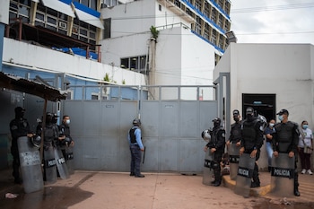 Imagen de referencia - Paula