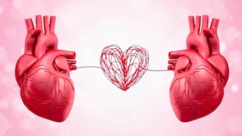 ¿Cómo funciona el amor? Una