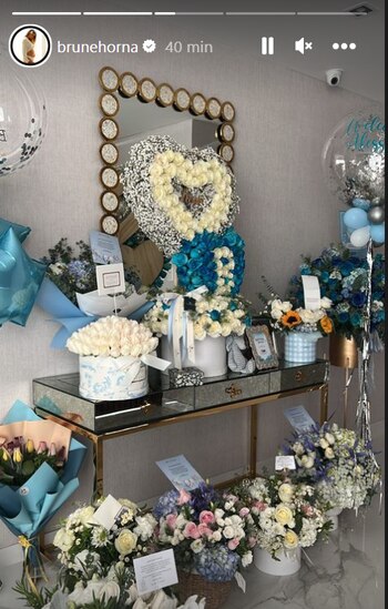 Brunella Horna llegó a casa