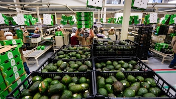 Primer semestre de 2026 deja menos empleos y más cierres de empresas en Jalisco, advierte Coparmex