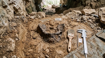 Un fósil de pelvis sobre sedimento junto a una brocha, un calibrador y etiquetas identificativas dentro de una cueva.